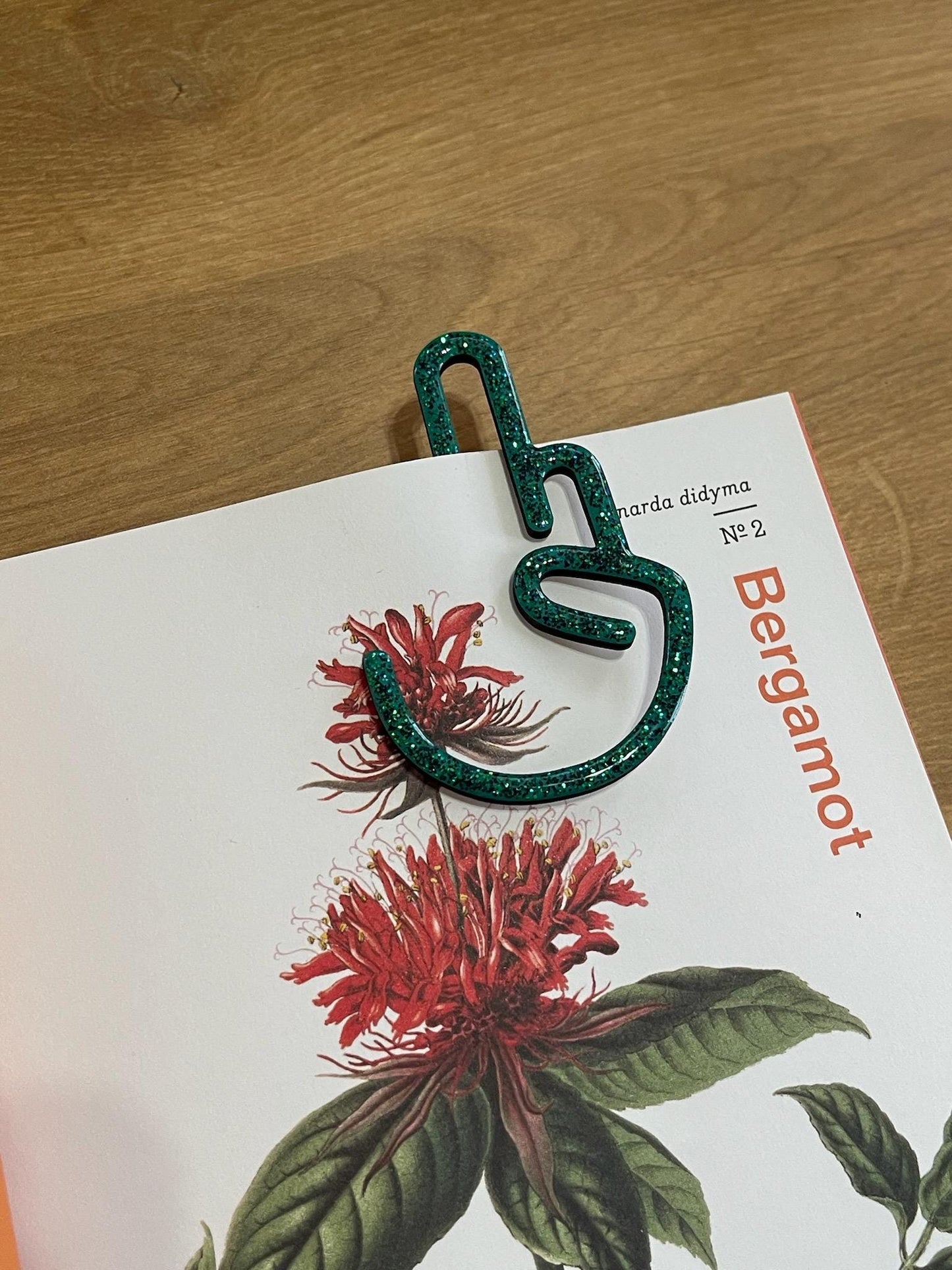 Unique Handmade Oversized Paper Clips/Bookmarks