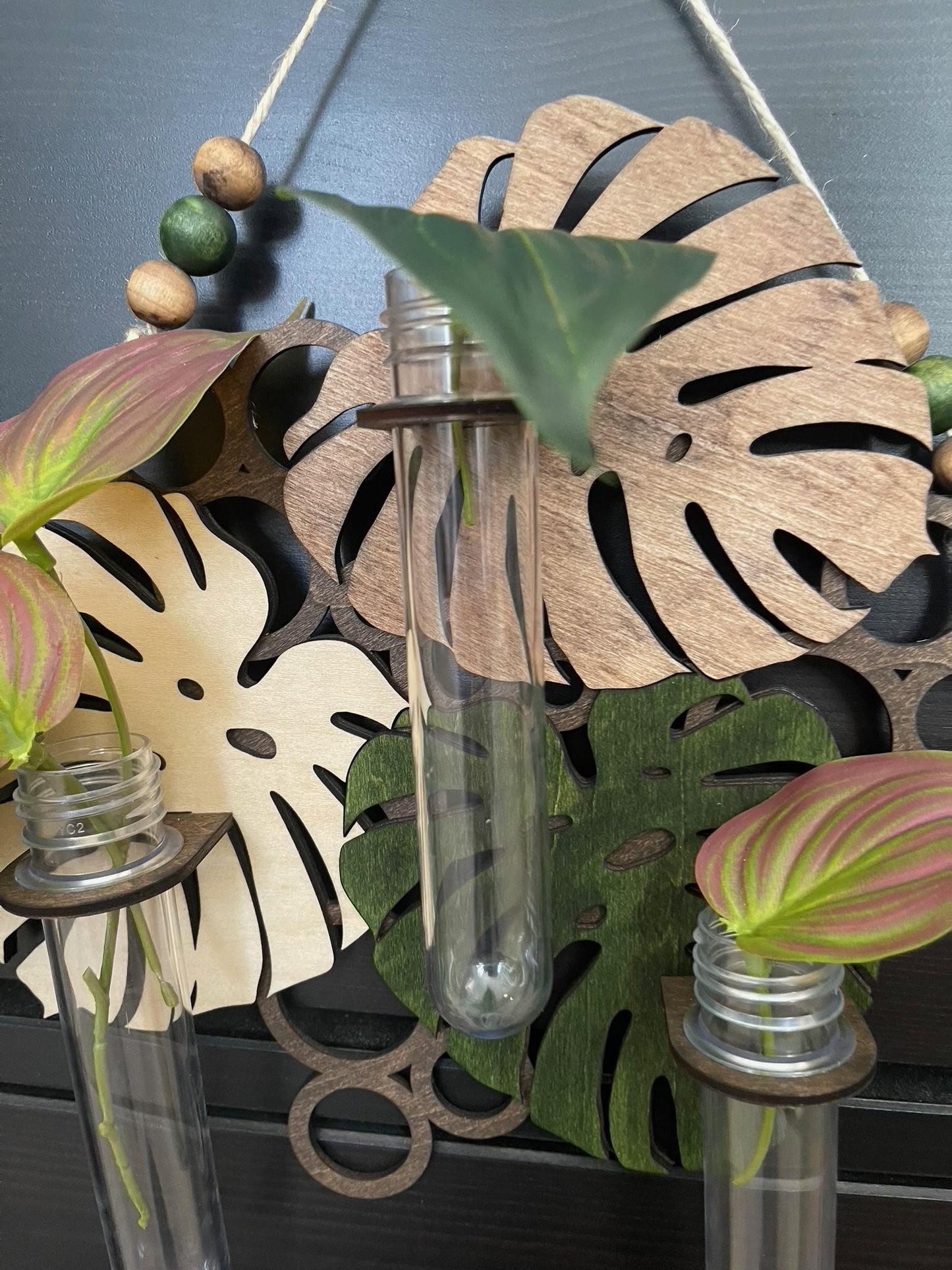 Hanging Propagation Station - Bee & Botanical or Monstera Leaf Wall Decor | Boho Plant Propagation