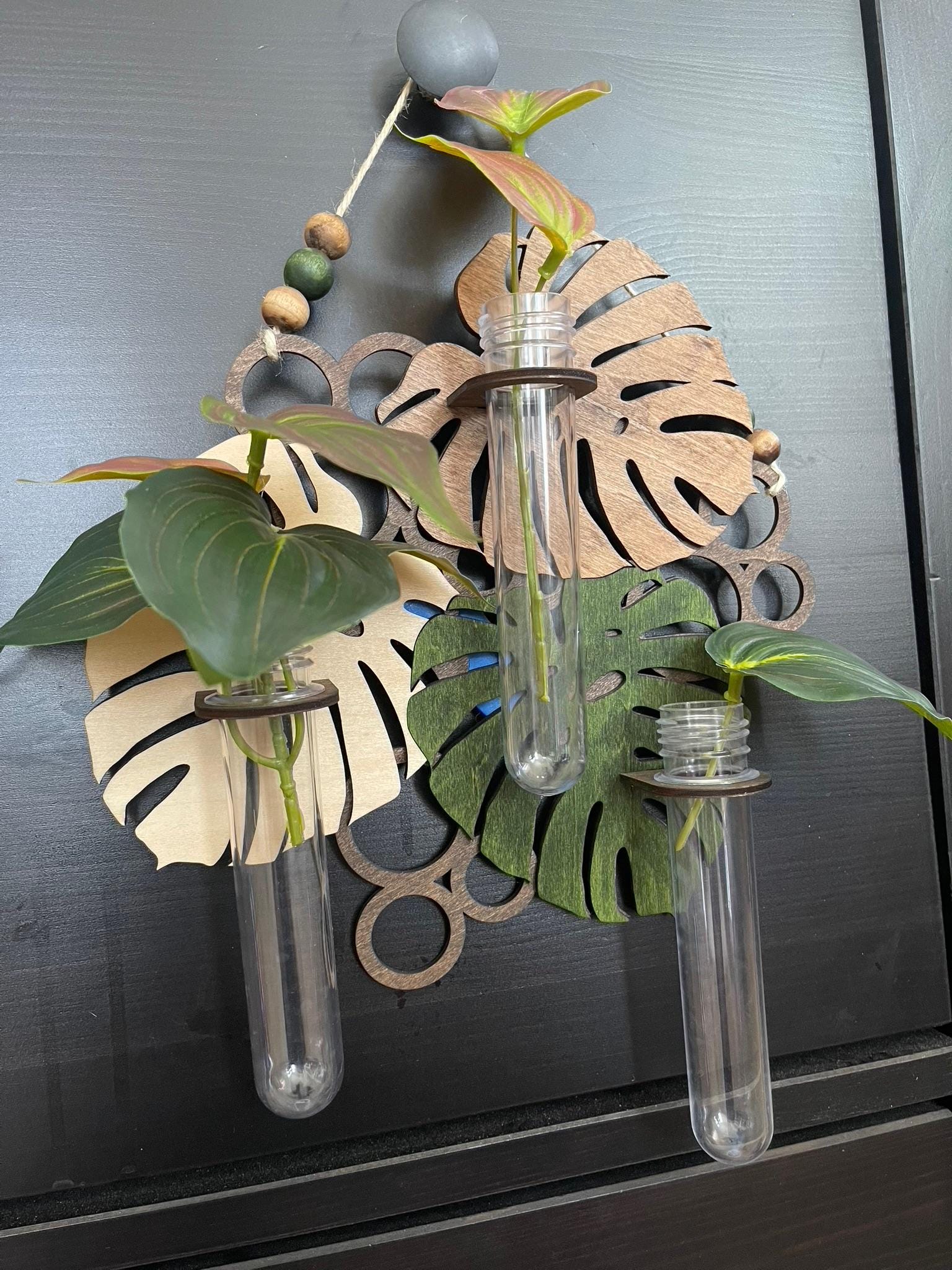 Hanging Propagation Station - Bee & Botanical or Monstera Leaf Wall Decor | Boho Plant Propagation