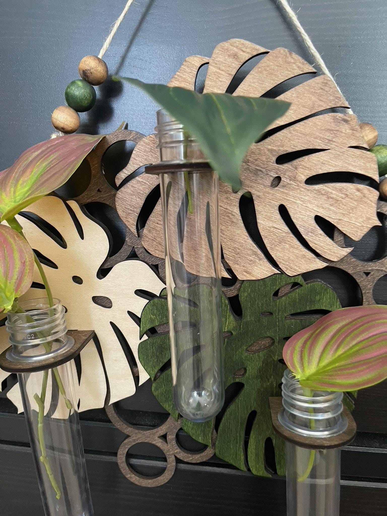 Hanging Propagation Station - Bee & Botanical or Monstera Leaf Wall Decor | Boho Plant Propagation