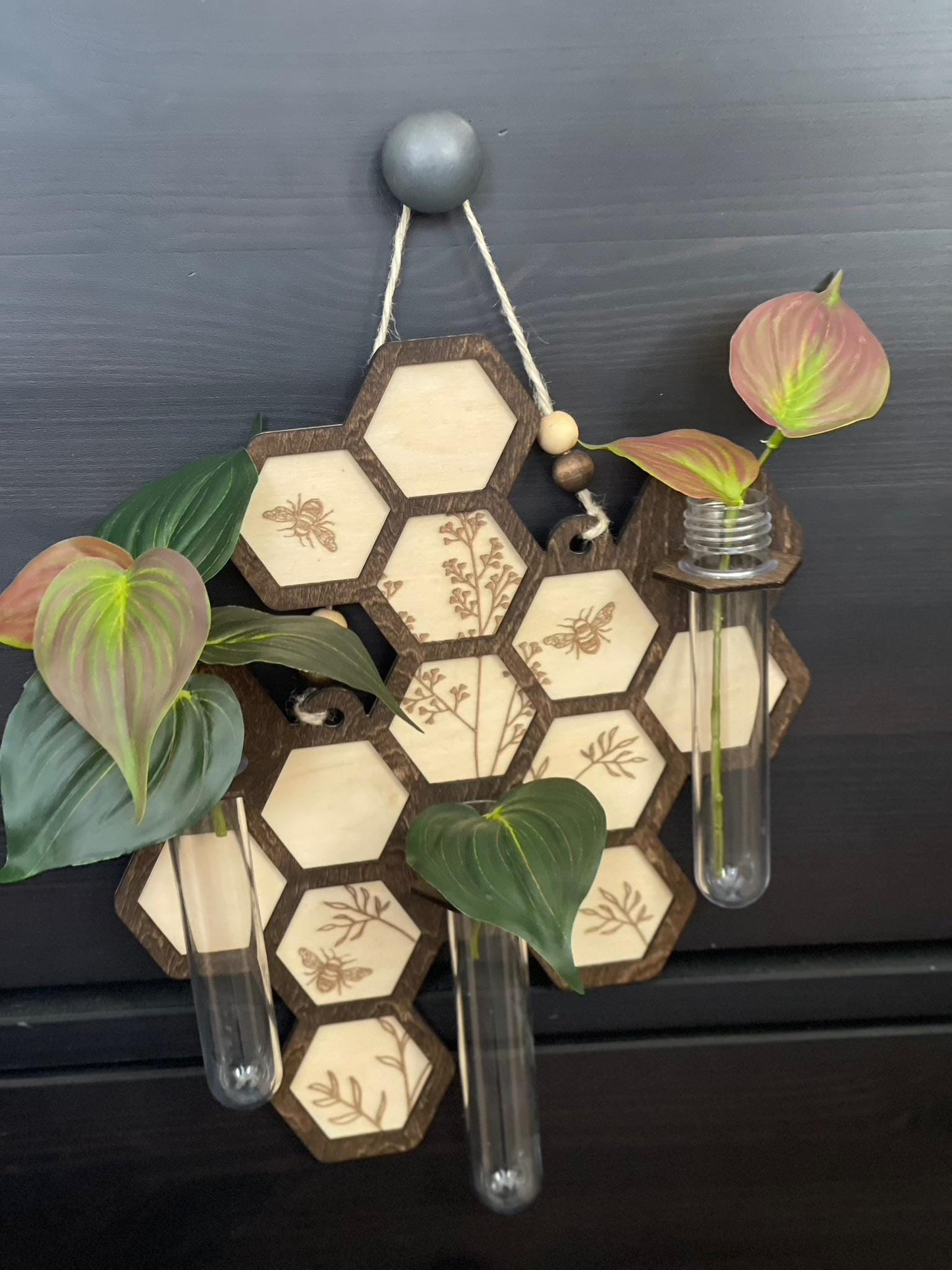 Hanging Propagation Station - Bee & Botanical or Monstera Leaf Wall Decor | Boho Plant Propagation