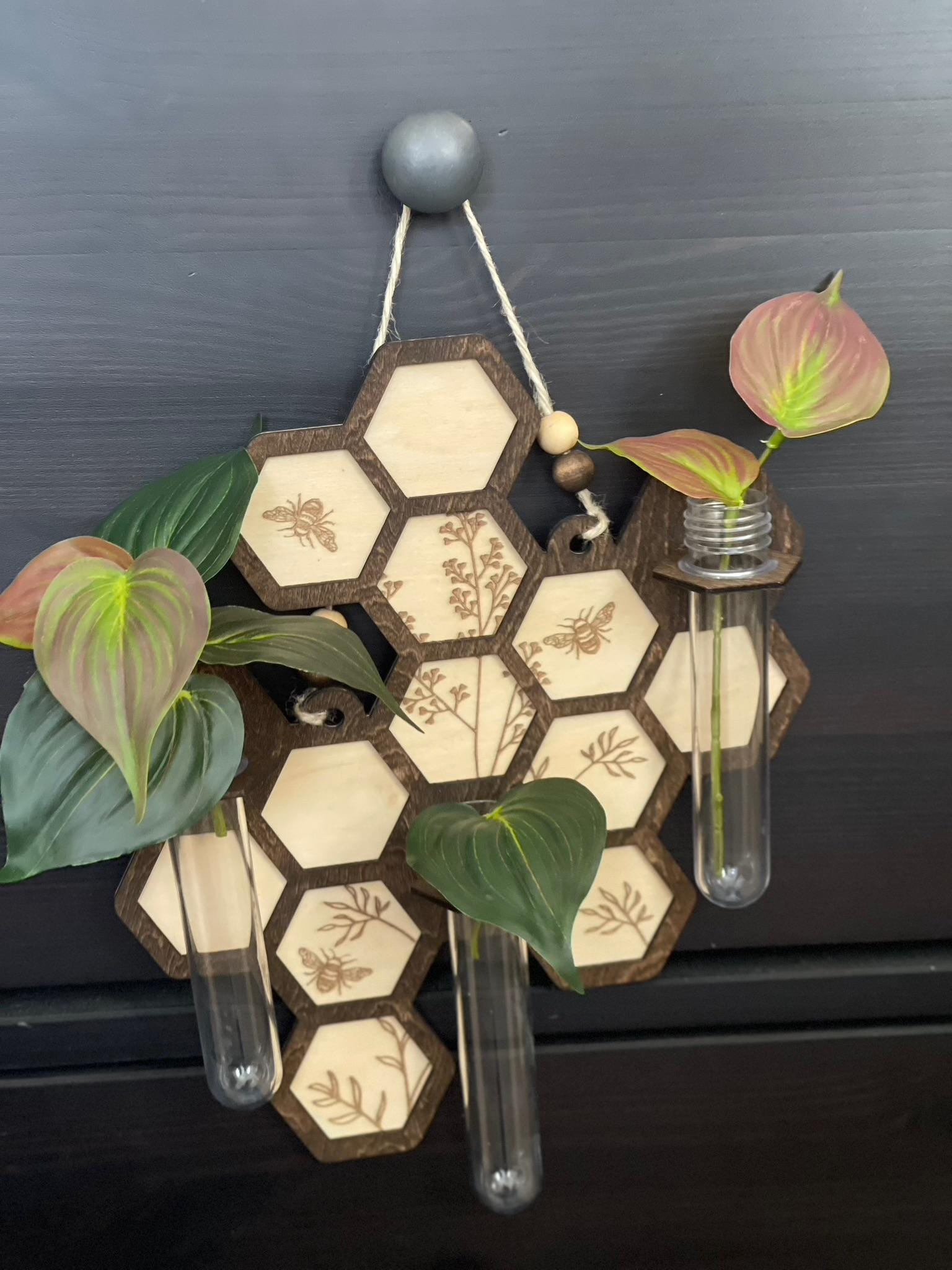 Hanging Propagation Station - Bee & Botanical or Monstera Leaf Wall Decor | Boho Plant Propagation