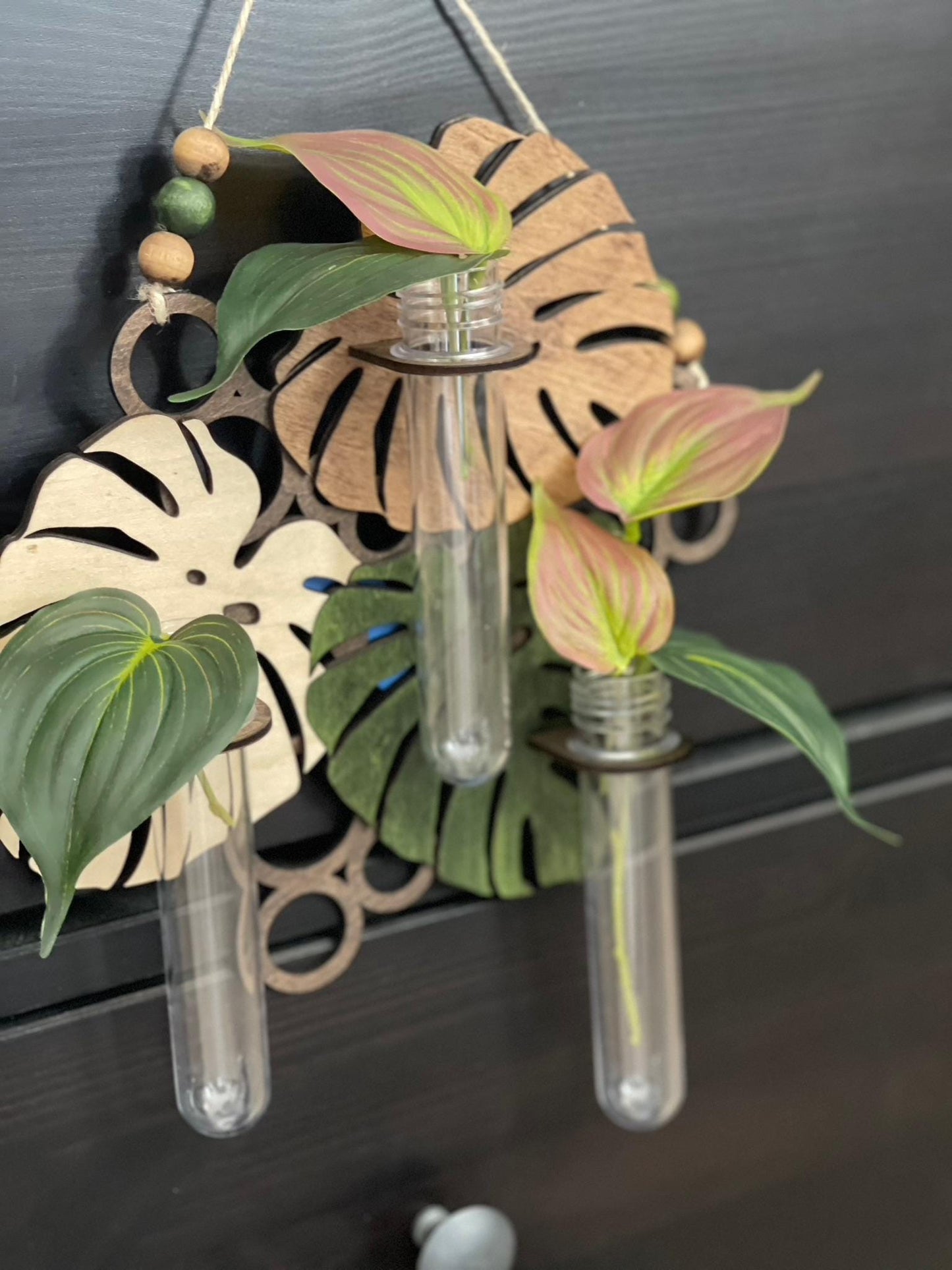 Hanging Propagation Station - Bee & Botanical or Monstera Leaf Wall Decor | Boho Plant Propagation
