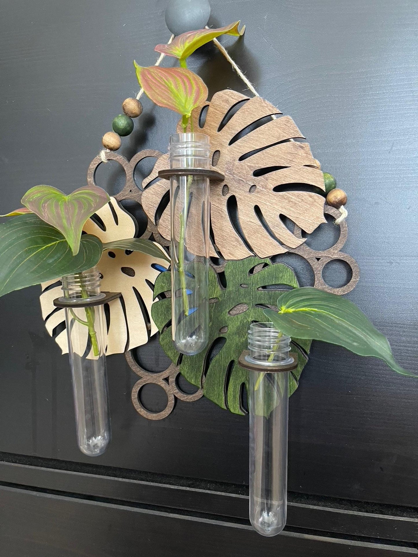 Hanging Propagation Station - Bee & Botanical or Monstera Leaf Wall Decor | Boho Plant Propagation