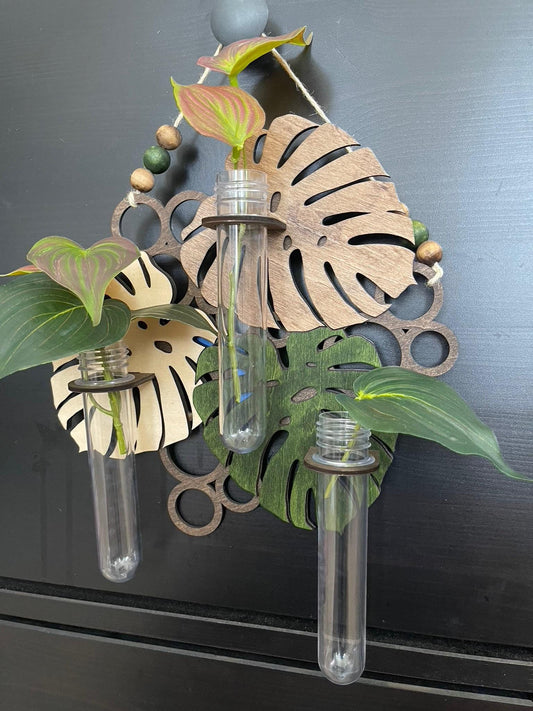 Hanging Propagation Station - Bee & Botanical or Monstera Leaf Wall Decor | Boho Plant Propagation
