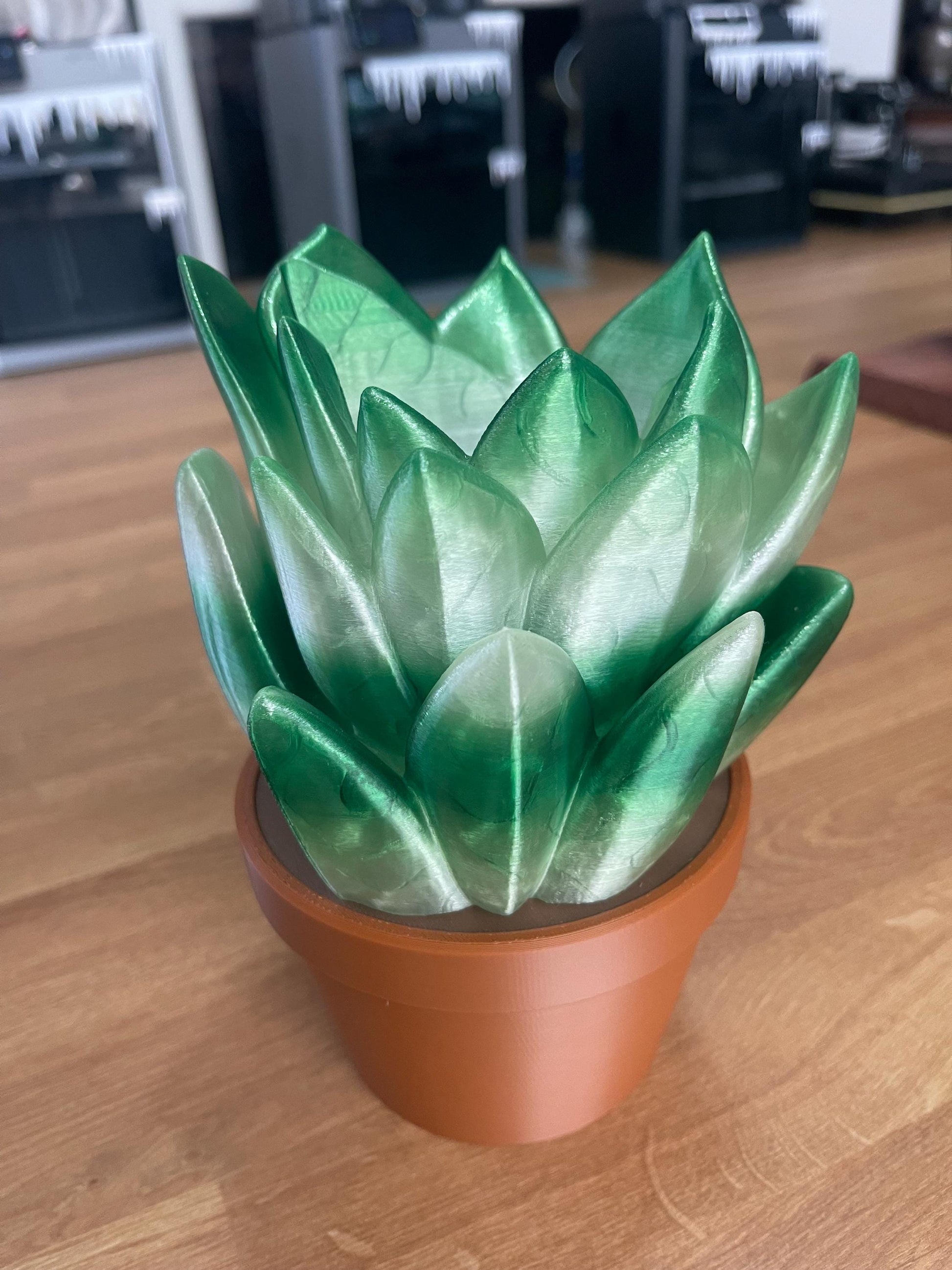 Succulent Soap Holder for Bath & Body Works | Plant Soap Holder | Bathroom Decor | 3D Printed Soap Dispenser Holder | Zen Bathroom Accessory