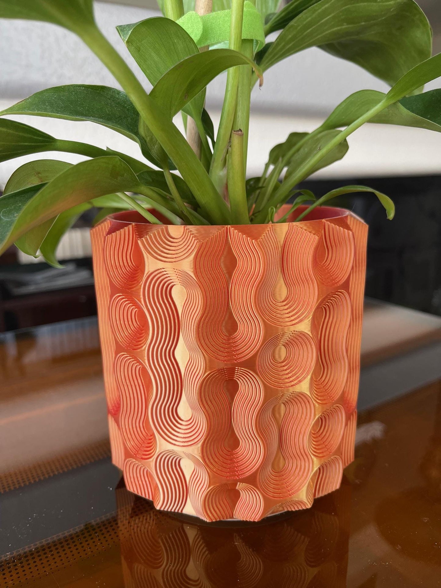 Monstera Coaster Tree + Decorative Planter Set | Modular Base Options | Tropical Leaf Drink Holder Organizer