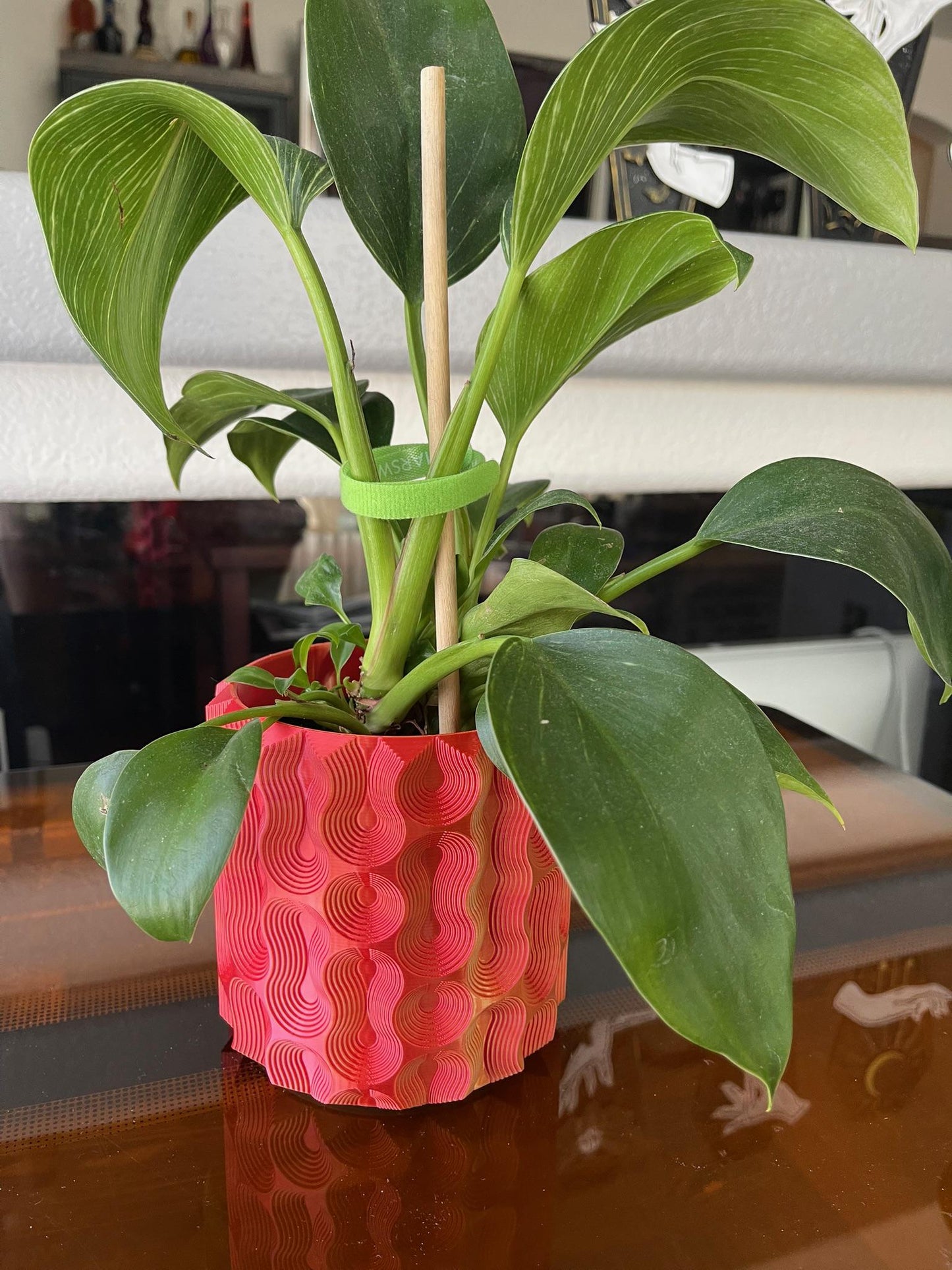 Monstera Coaster Tree + Decorative Planter Set | Modular Base Options | Tropical Leaf Drink Holder Organizer