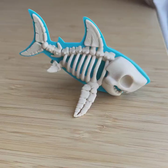 Bone Shark – Shark Skeleton Collectible– Ocean-Themed Decor