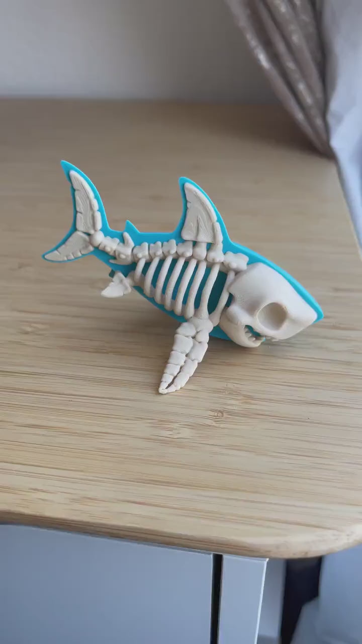 Bone Shark – Shark Skeleton Collectible– Ocean-Themed Decor