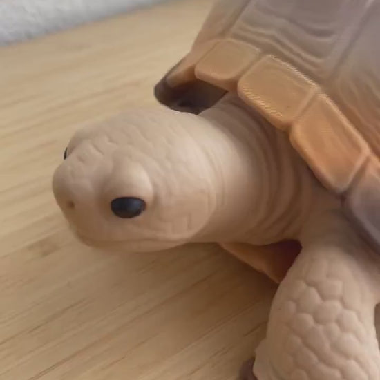 Tortoise Soap Holder | Turtle Bathroom Decor for Foaming Soap Stand | Holds Bath & Body Works Foaming Soap