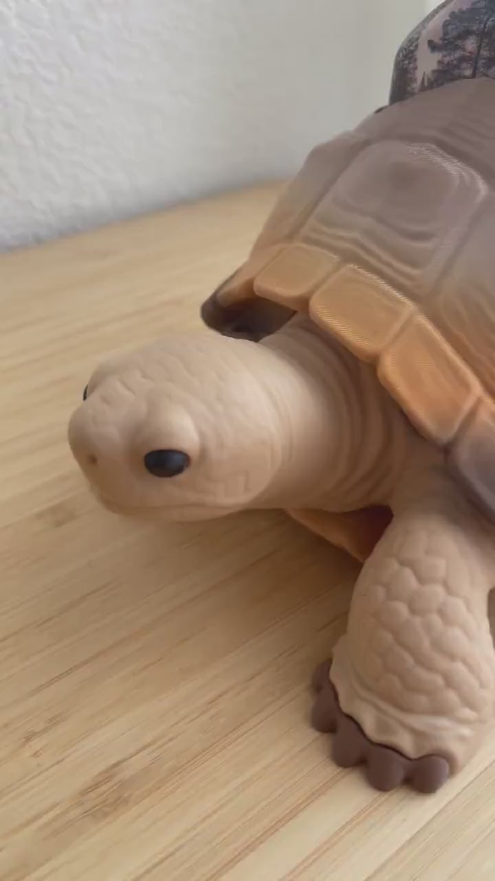 Tortoise Soap Holder | Turtle Bathroom Decor for Foaming Soap Stand | Holds Bath & Body Works Foaming Soap