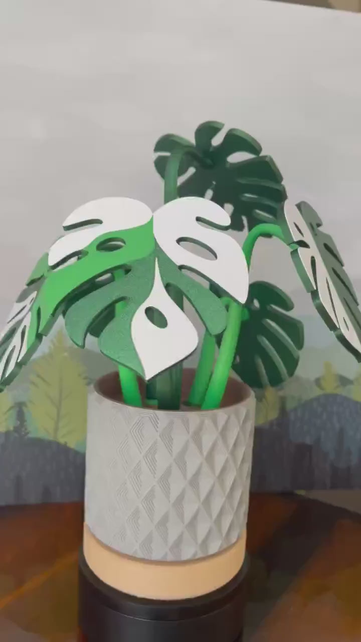 Monstera Coaster Tree + Decorative Planter Set | Modular Base Options | Tropical Leaf Drink Holder Organizer