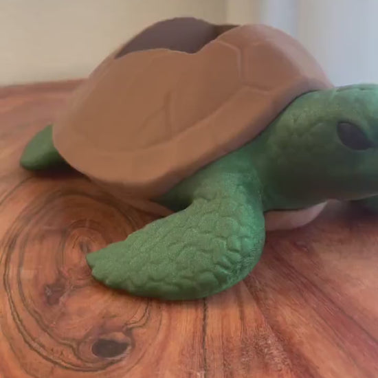 Sea Turtle Soap Holder for Bath & Body Works Foaming Soap | Coastal Bathroom Decor | Ocean Turtle Countertop Soap Stand | Beach House Gift